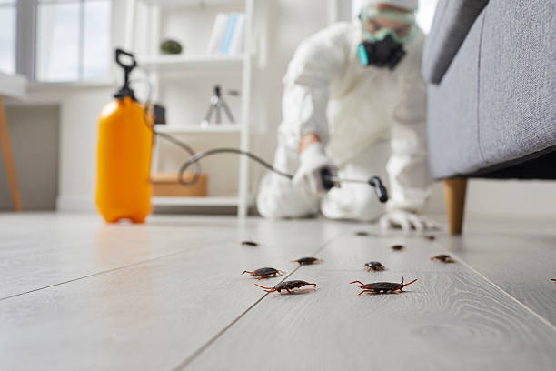 Trusted Fumigation Services service in New Lexington, OH - Nex Pest Control