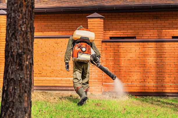 Trusted Cockroach Control service in New Lexington, OH - Nex Pest Control
